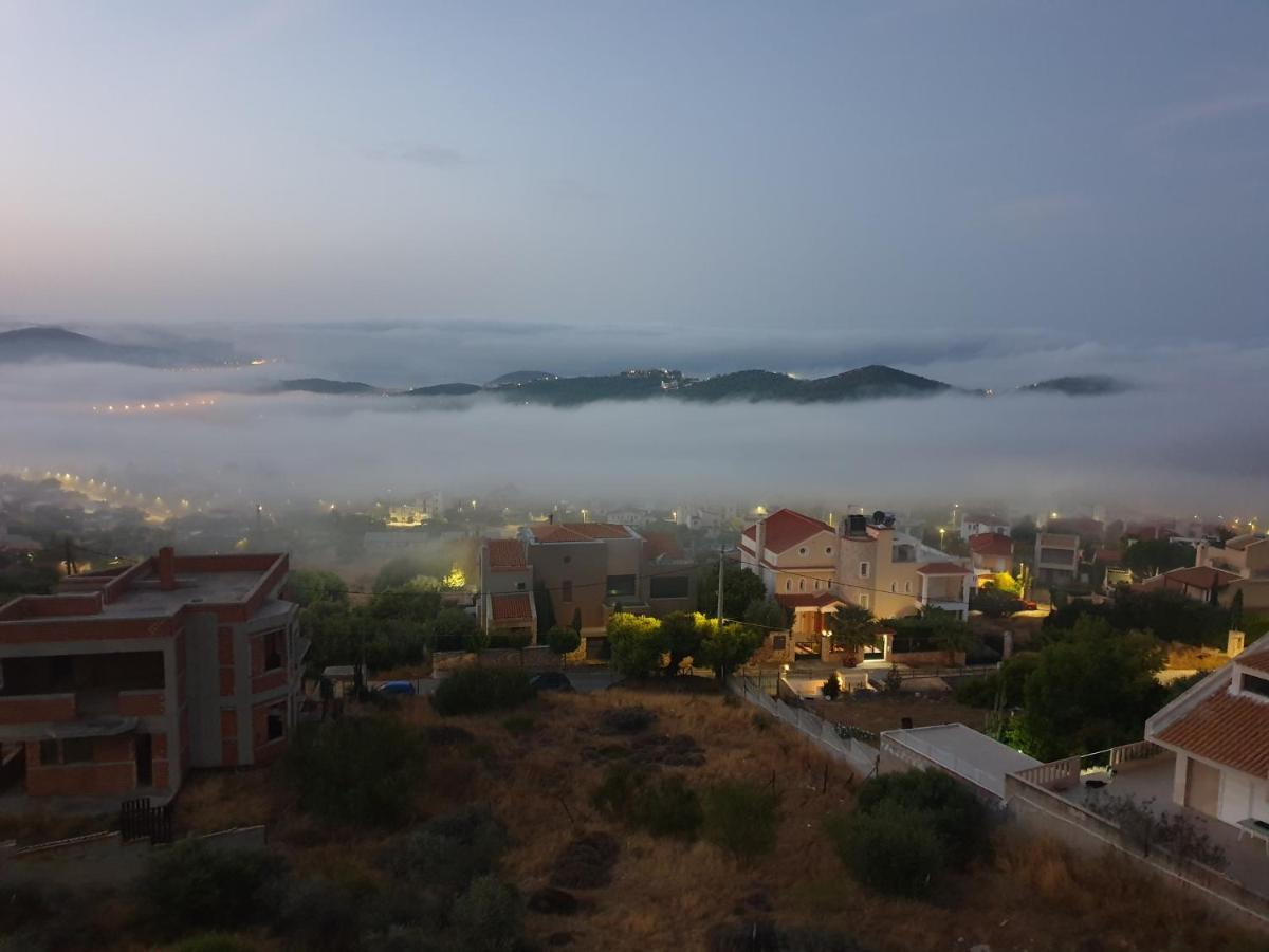 "Stergiou Luxury Apartments" Με Κοινη Πισινα Saronida Buitenkant foto